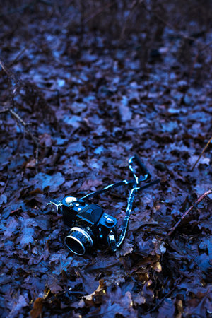 Vintage slr camera fallen on forest ground covered in brown leaves. Top view.