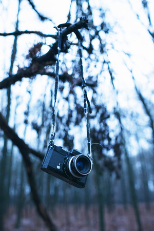 Lost vintage camera hanging in tree in winter forest.の写真素材