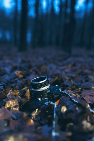 Vintage SLR camera lying on dead leaves in winter forest at dusk.の写真素材