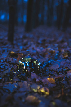 Vintage SLR camera lying on brown leaves in winter forest at dusk.の写真素材