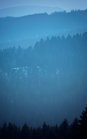 Mountain slopes with pine tree forest in mist.の写真素材