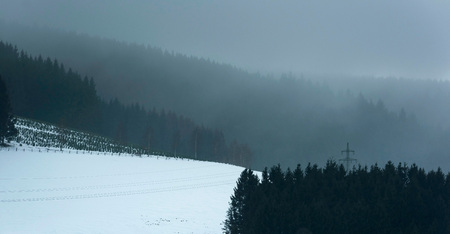Snow slope between pine forest in misty mountains.の写真素材