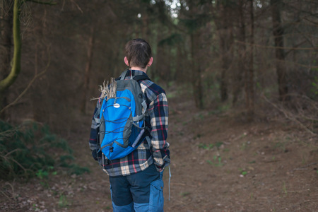 Backpacker in dark pine forest. Rear view.の写真素材