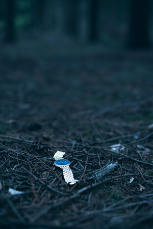 Lost watch on forest ground.の写真素材
