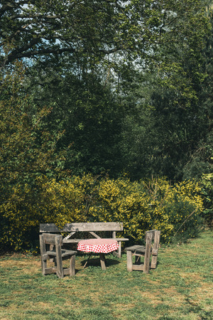 Wooden table and chairs in backyard in spring.の写真素材