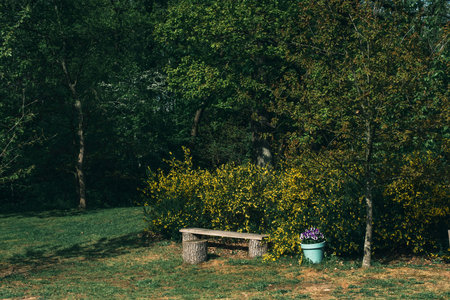 Wooden bench and flower pot in backyard in spring.