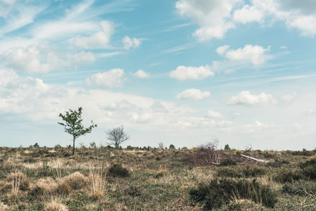 Dry hilly heather landscape under blue cloudy sky.の写真素材