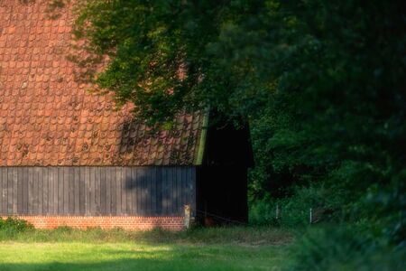 Historic dutch farmhouse in sunny countryside during summer.の写真素材