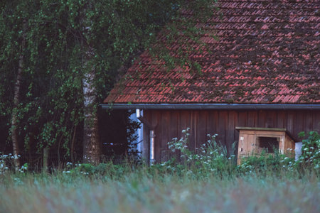 Wooden barn and rabbit cage in bushy countryside.