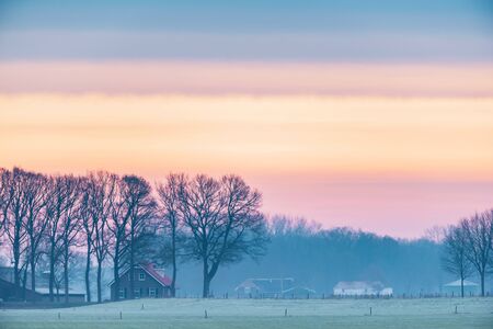 Rural house and bare winter trees in countryside at sunrise.の写真素材