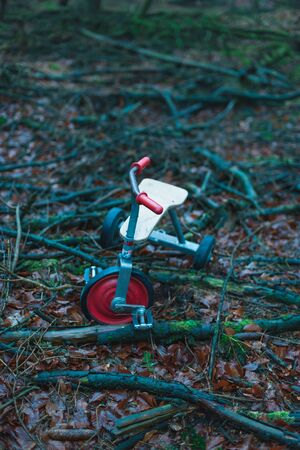 Abandoned kids tricycle in winter forest.の写真素材
