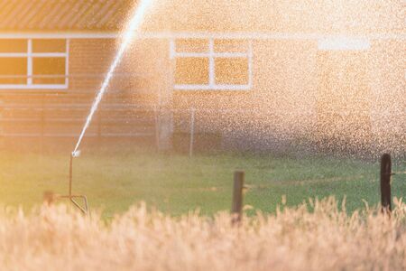 Sprinkler in rural back yard on sunny summer evening.の写真素材