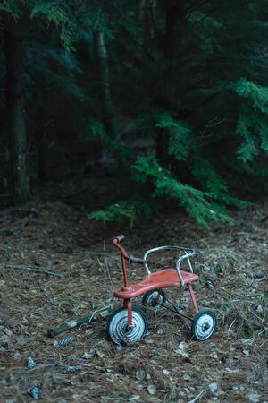 Abandoned tricycle in dark fir forest.の写真素材