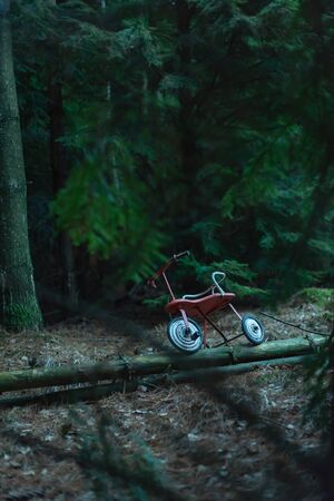 Abandoned tricycle in dark fir forest.の写真素材