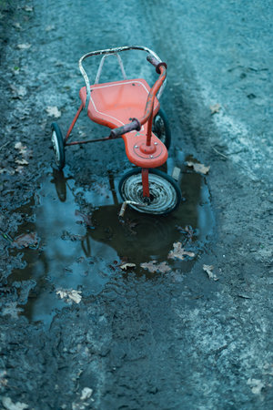 Abandoned tricycle in puddle on dirt road in forest.
