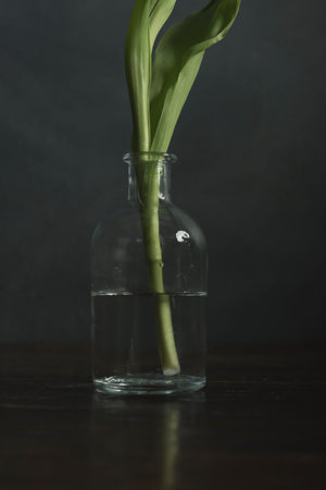 Stem of tulip in glass vase on wooden table in front of gray wall.