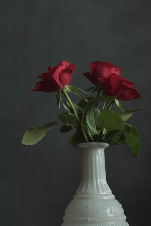 Three red roses in white antique vase in front of gray wall.の写真素材