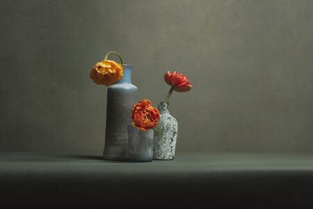 Three vintage vases with red and orange peony tulips in grey room.の写真素材