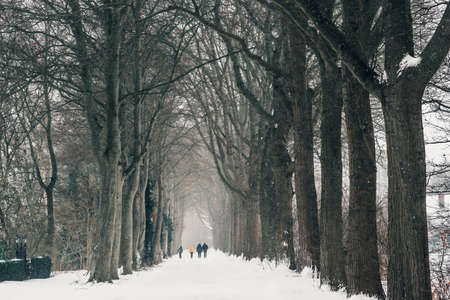 People walking on country road in snow storm.の写真素材