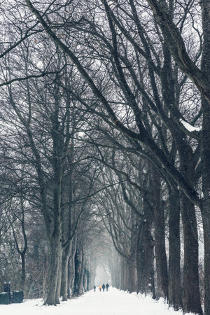 People walking on country road in snow storm.の写真素材