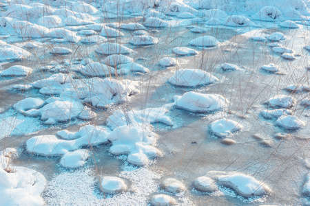 Frozen peatland covered in snow.の写真素材