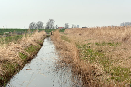 Houses and church behind dike under overcast sky.の写真素材