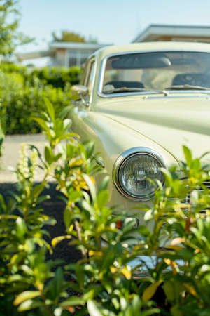 Headlight of a classic car parked behind a hedge of a front yard in summer.の写真素材