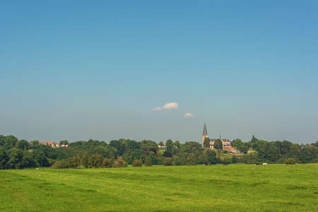 Rolling meadow with some cows and a thick row of trees with a church and some houses on the horizon under blue sky.の写真素材
