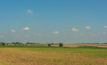 Rolling sunny landscape with farmland and some trees under a blue sky with some clouds.の写真素材