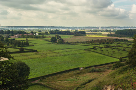 Agricultural fields with some trees and hedges and a city on the horizon under a cloudy sky on a summer day.の写真素材