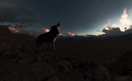 Howling wolf in a remote vast rocky landscape at sunset. 3D render.の写真素材