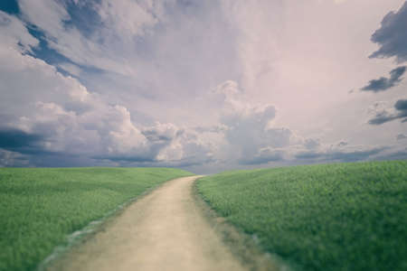 Rolling countryside with a dirt road and a blue cloudy sky in summer. 3D render.の写真素材