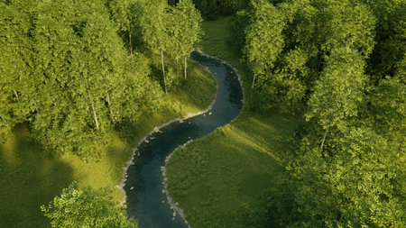 Aerial of deciduous forest with a river in morning sunlight. 3D render.