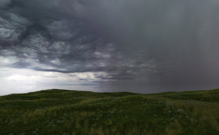 Rolling landscape with grassland and daisies under a dark cloudy sky. 3D render.