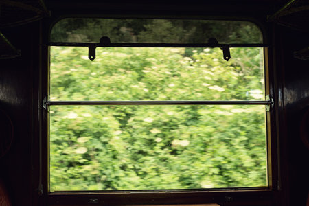 View through window on green bushes as seen from the inside of a vintage train compartment.