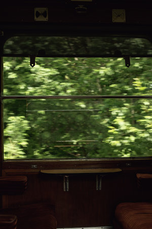 View through window on green bushes as seen from the inside of a vintage train compartment.