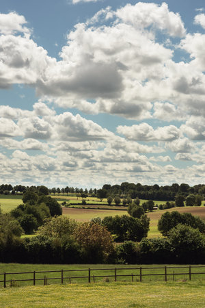 Rolling countryside with trees and farmland under a blue cloudy sky in summer.