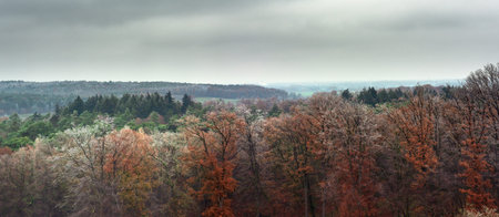 Fall forest in hills under cloudy sky.