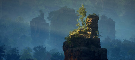 Tree on a rock pillar in misty jungle.の写真素材