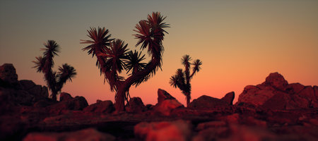Three joshua trees and rocks in arid landscape at sunset.の写真素材