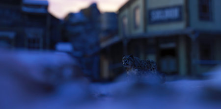 Snow leopard in old victorian village in rocky mountains during winter at twilight.の写真素材