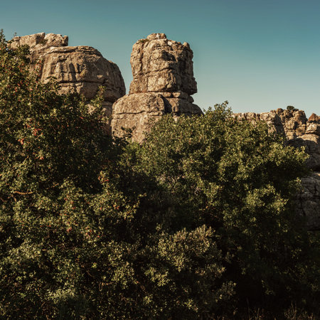 Rock formation between trees. El Torcal de Antequera National Park. Andalusia. Spain.