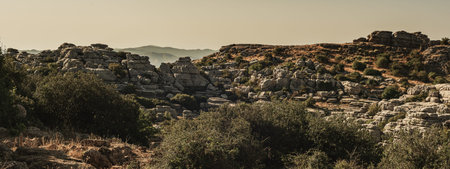 Limestone rock formations and green vegetation. El Torcal de Antequera National Park. Andalusia....
