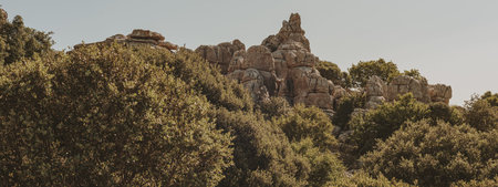 Limestone rock formations like pillars between green vegetation under a blue sky. El Torcal de...
