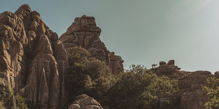 Mountain goat on top of a rock formation under a blue sky. El Torcal de Antequera National Park....