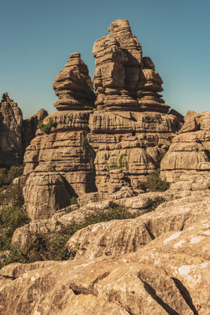 Limestone rock formations like pillars between green vegetation under a blue sky. El Torcal de...