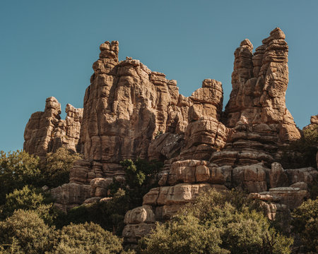 Limestone rock formations like pillars between green vegetation under a blue sky. El Torcal de Antequera National Park. Andalusia. Spain.の写真素材