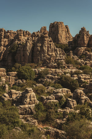 Limestone rock formations between green vegetation under a blue sky. El Torcal de Antequera National...