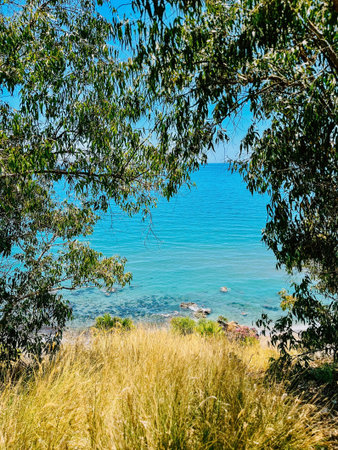 Clear sea under blue sky seen through trees and tall grass. Andalucia, Spain.