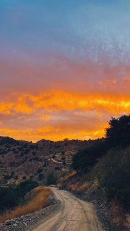 Rolling landscape with hills and olive trees during sunset in countryside of Malaga, Andalucia, Spain.の写真素材